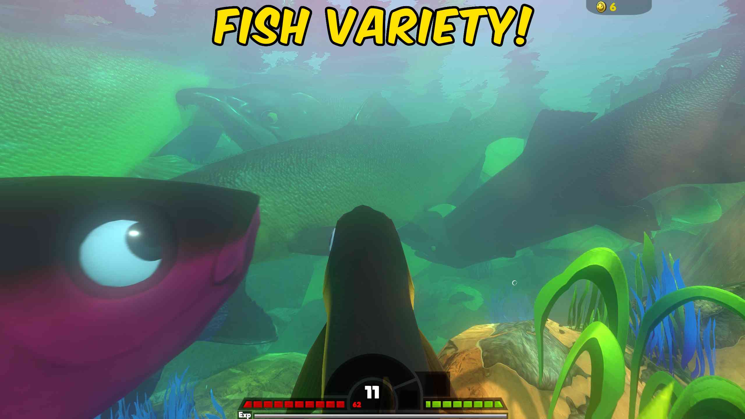 Fish Spawn Variety